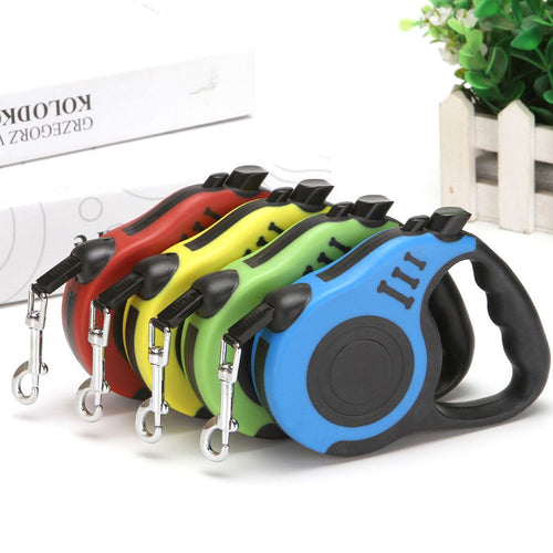 RoamSafe Leash — Pawvex